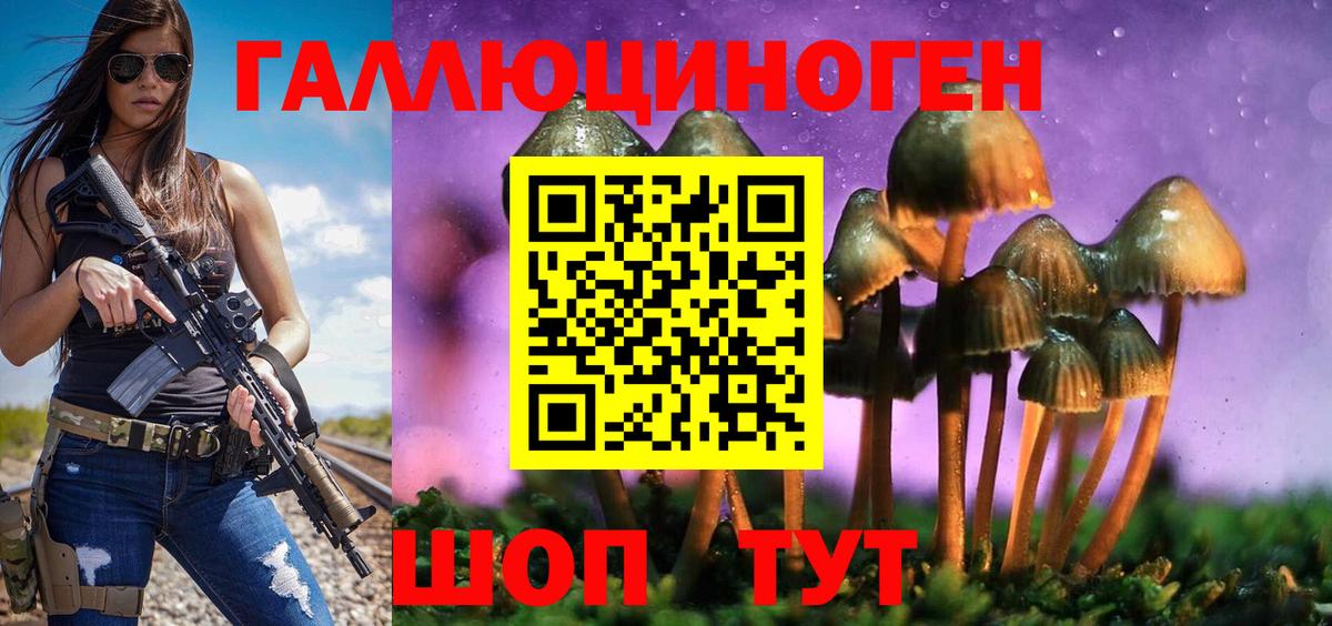 Псилоцибиновые грибы MAGIC MUSHROOMS  Вход с VPN  Энгельс 
