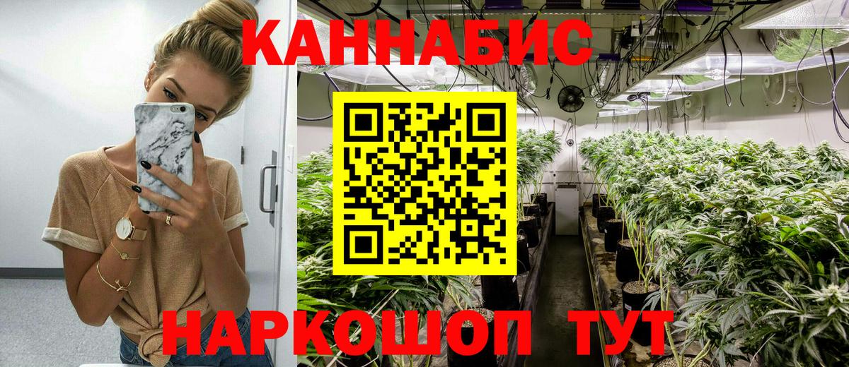 Бошки Шишки план  Вход с VPN  Энгельс  Бошки Шишки конопля  Канабис марихуана 